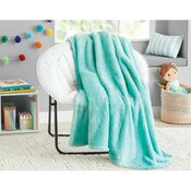 Wholesale - TWIN MINT PLUSH BLANKET C/P 2, UPC: 784857787849